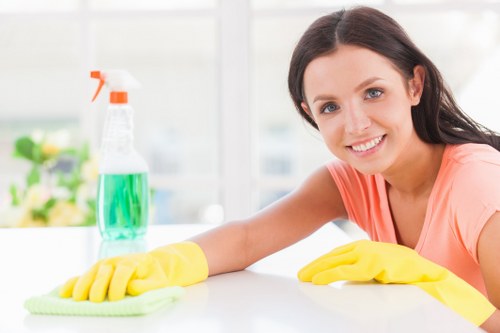 Professional house cleaning in a bright living room