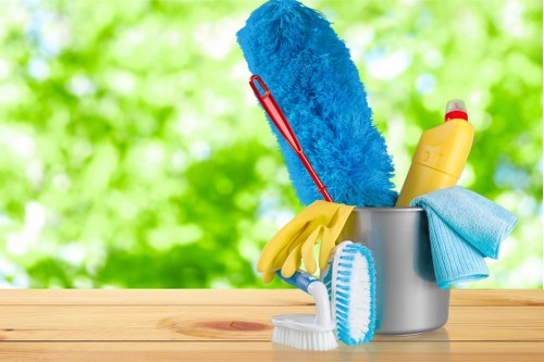 Professional end of tenancy cleaning in a London rental property