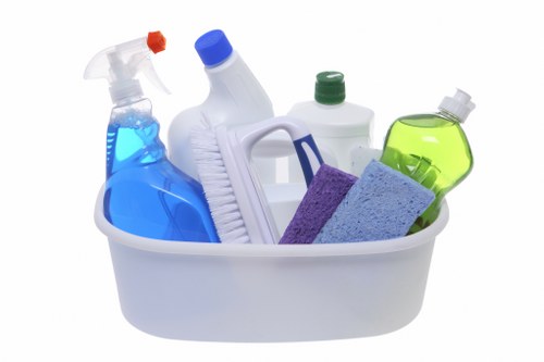 Deep cleaning supplies arranged for a home cleaning session