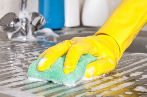 Window cleaning tools and purified water system